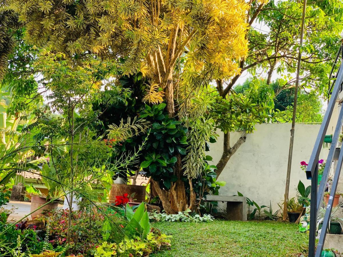 Heaven Breeze Hotell Kandy Exteriör bild